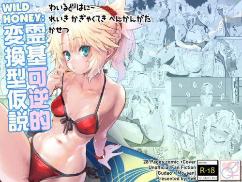 d_286720 WILD HONEY:霊基可逆的変換型仮説