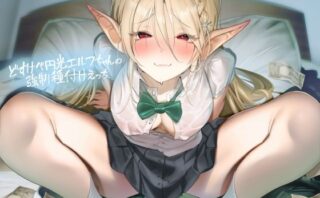 d_422983 どすけべ円光エルフちゃんの強●種付けえっち【フォーリーサウンド】