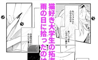 拾った捨て猫は化け猫？不思議な同居生活を描く心温まるBL物語