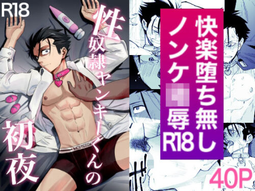 性奴●ヤンキーくんの初夜d_538563
