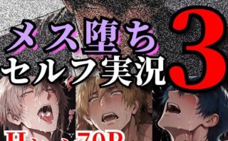 メス堕ちセルフ実況3 YAOI SEX イラスト集d_804187