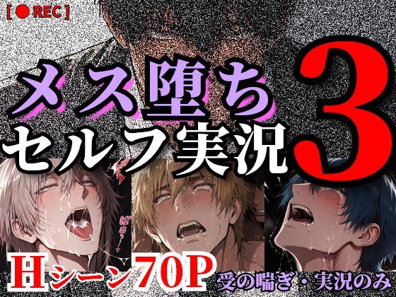 メス堕ちセルフ実況3 YAOI SEX イラスト集d_804187