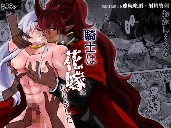騎士は花嫁になりましたd_807817