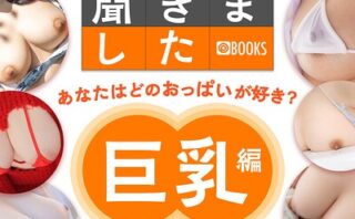 100人に聞きました あなたはどのおっぱいが好き？【巨乳編】