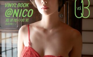 VINYL BOOK @NICO vol.03